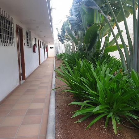 El Apartamento De Concha San Agustín Εξωτερικό φωτογραφία